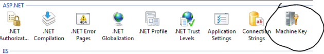 Machine key icon in IIS