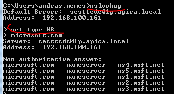 NsLookup name server record