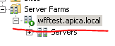 wfftest.apica.local