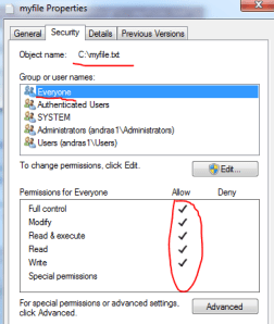 File access control set to Everyone full control