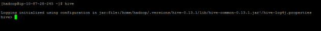 Hive started in EMR master node