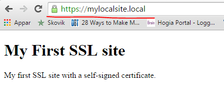 Local SSL site as viewed in Chrome
