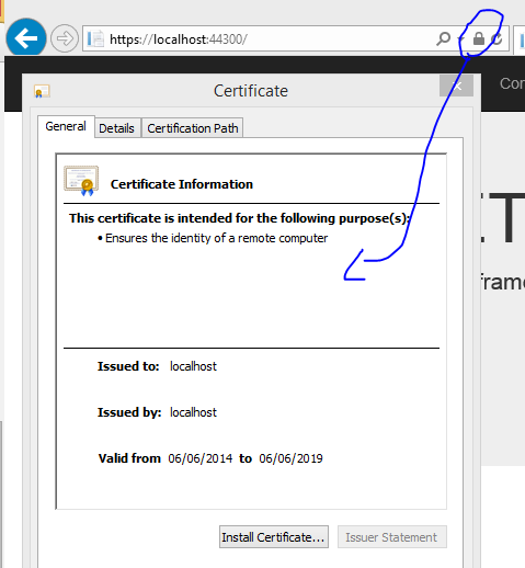 Certificate details from internet explorer