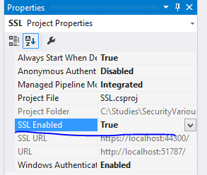 Enable SSL in Visual Studio properties window