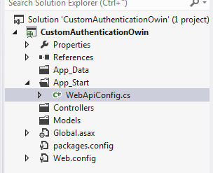 Empty web api project