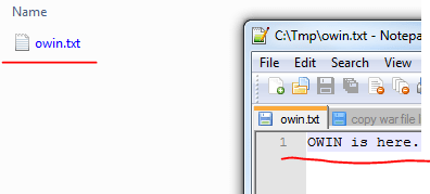 OWIN was executed and wrote to text file