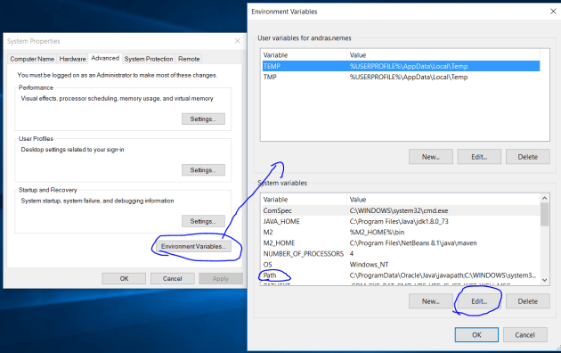 Edit environmental variables in Windows