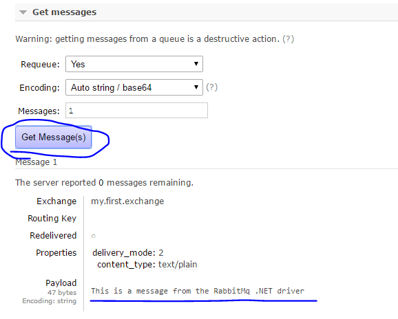 Message retrieved from the RabbitMq queue