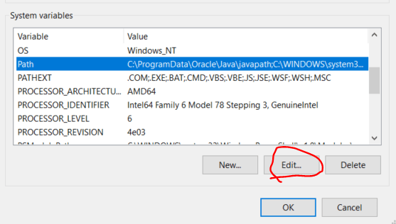 Edit environmental variables